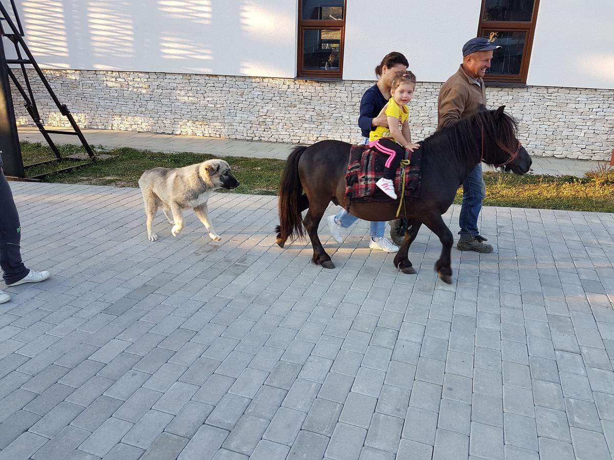 Montana Resort Colibiţa מראה חיצוני תמונה
